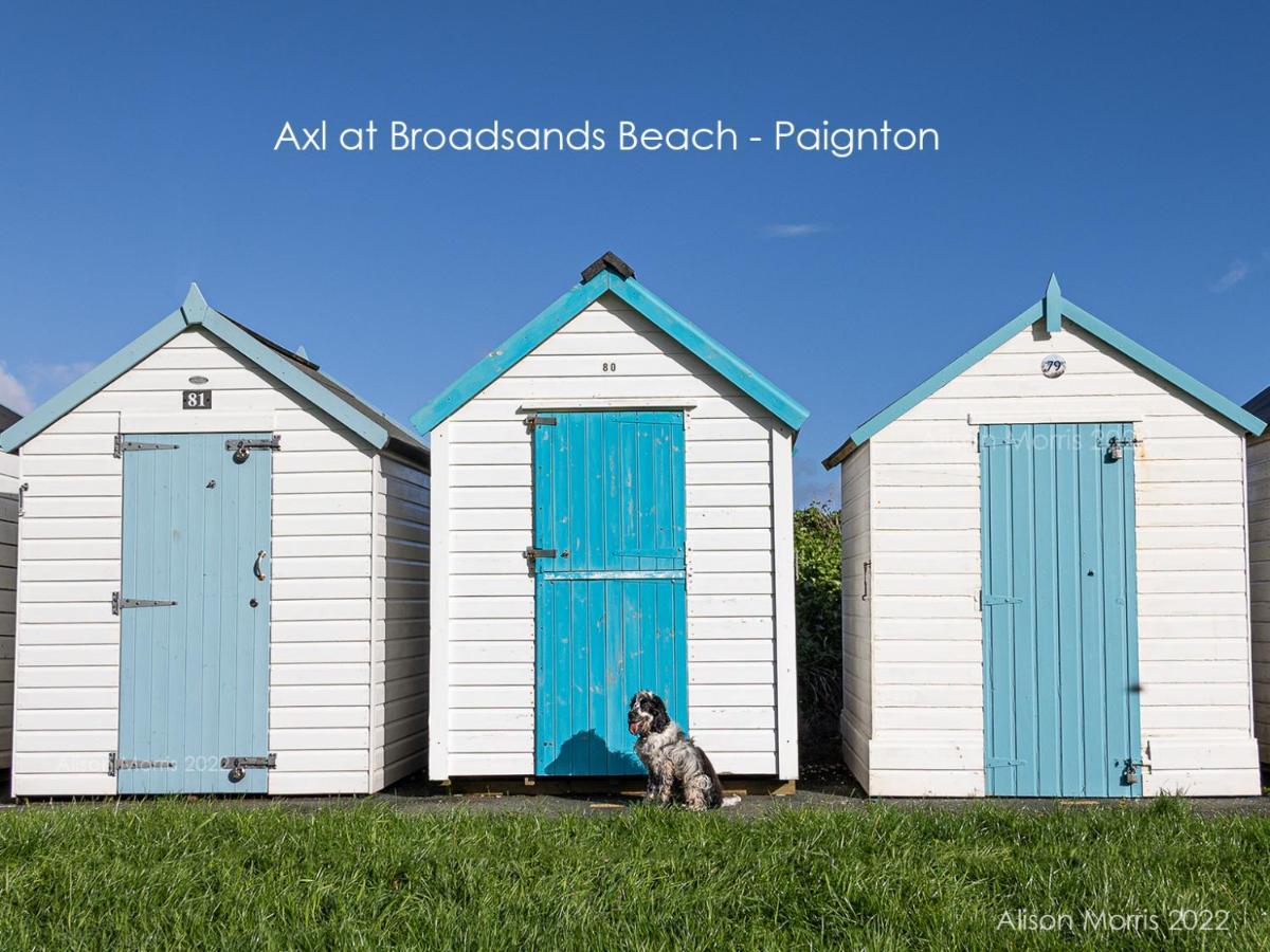 Dart Haven - Cheerful Holiday Bungalow In Galmpton エクステリア 写真
