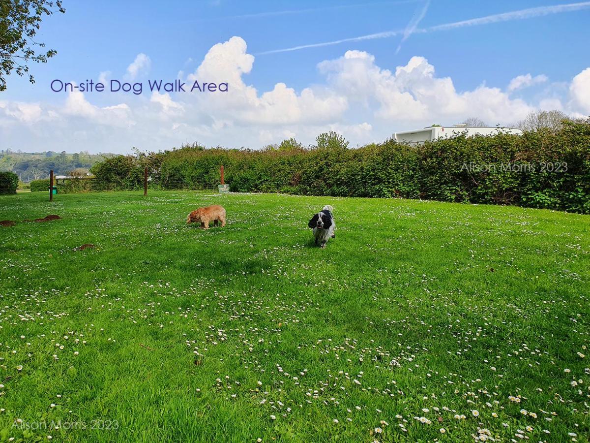 Dart Haven - Cheerful Holiday Bungalow In Galmpton エクステリア 写真
